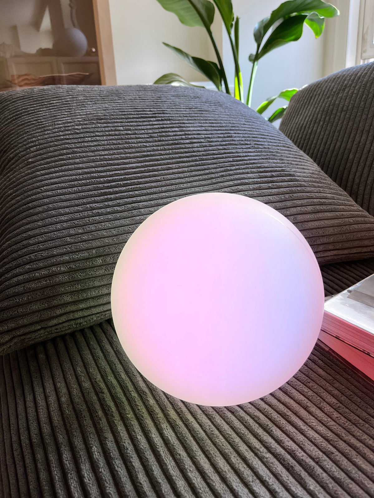 Moon Cordless LED Dimmable Table Lamp