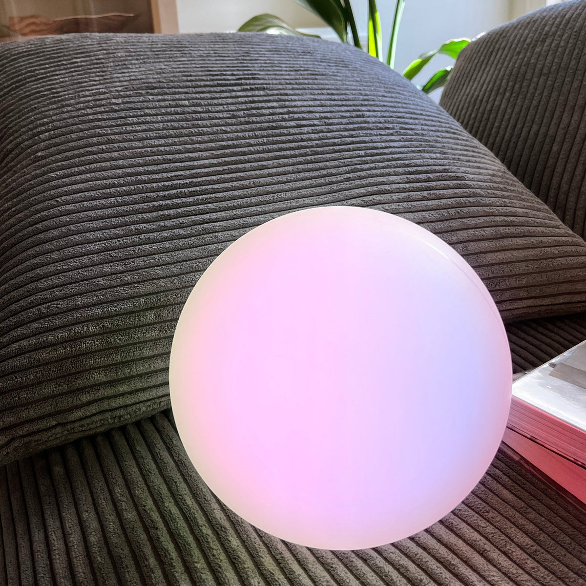 Moon Cordless LED Dimmable Table Lamp